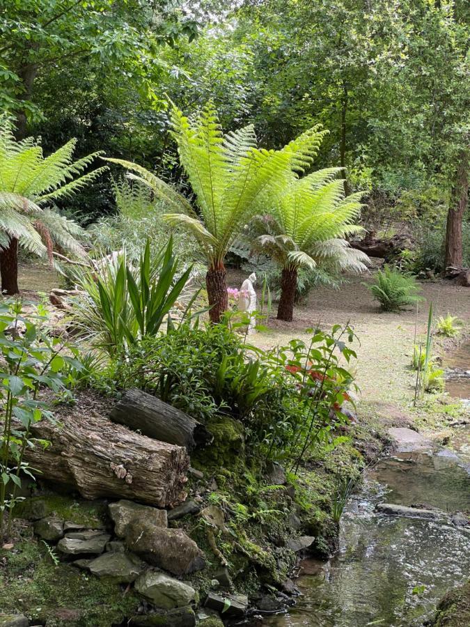 Manoir Medieval Du XV Ieme Siecle Minihy-Treguier ภายนอก รูปภาพ